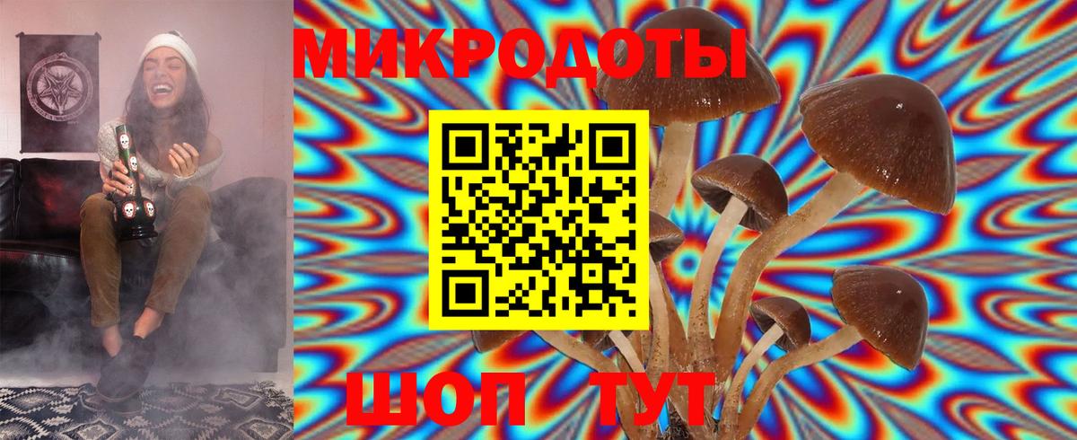 Северобайкальск  Галлюциногенные грибы мицелий  Галлюциногенные грибы ЛСД  Вход с VPN 
