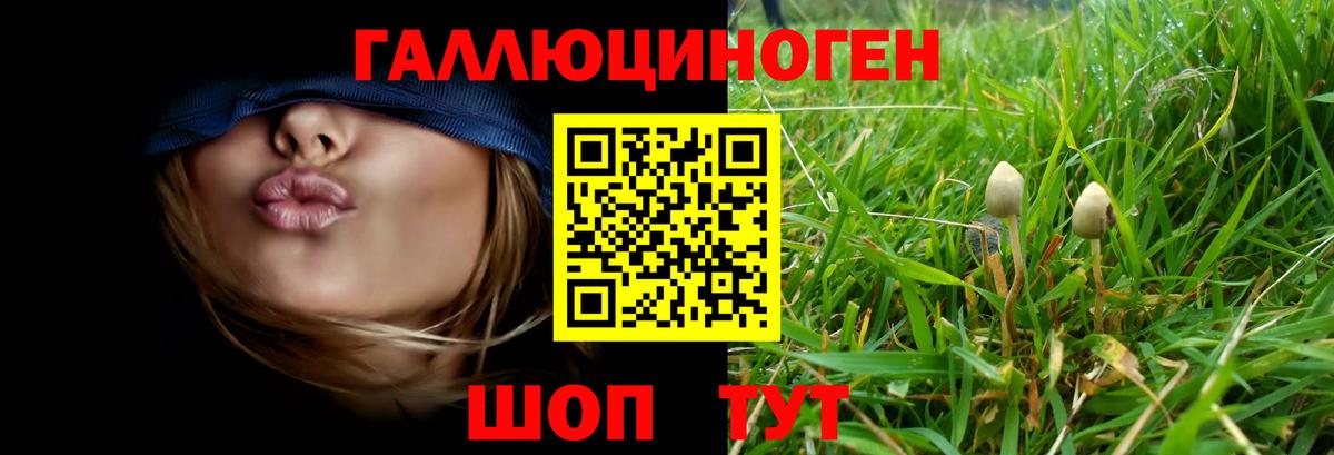 Псилоцибиновые грибы GOLDEN TEACHER Северобайкальск
