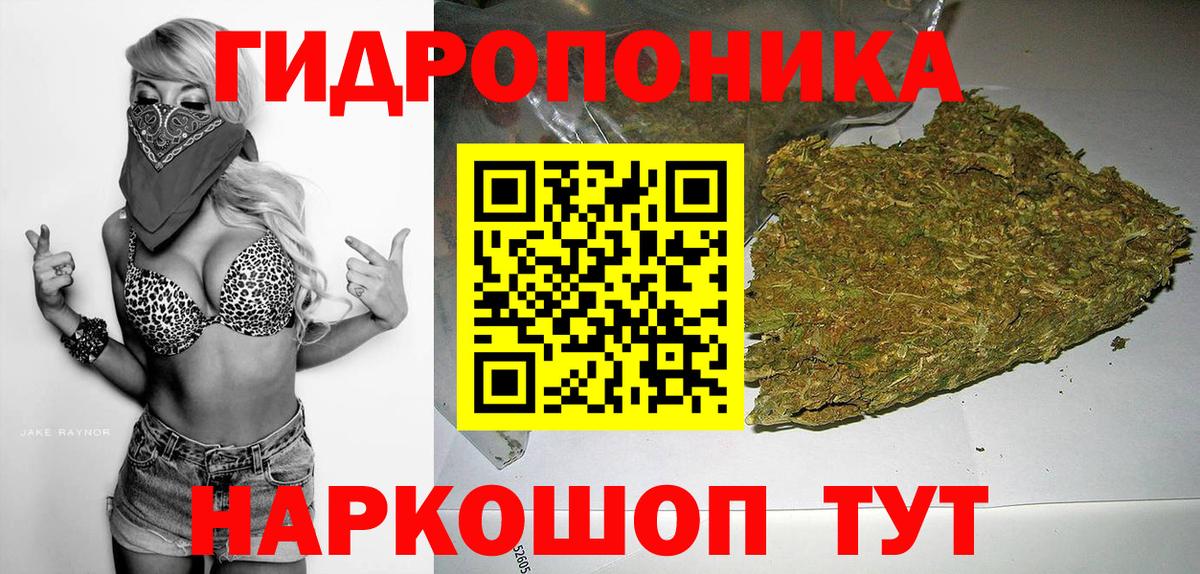 Бошки Шишки планчик Северобайкальск